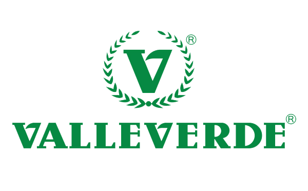 Inicio VALLEVERDE